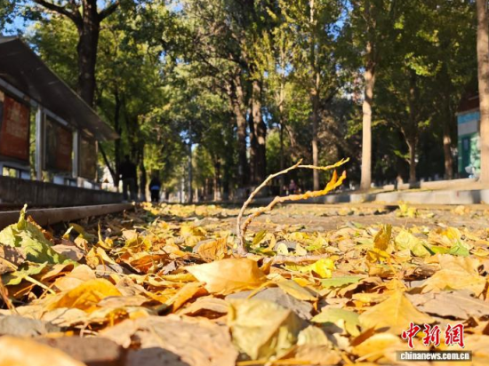 �S��54·��܉�܇�ؾ��h(hu��n)���������Σ���߅�L(f��ng)ò������(j��)�����S���~䁝M·�������� ���z