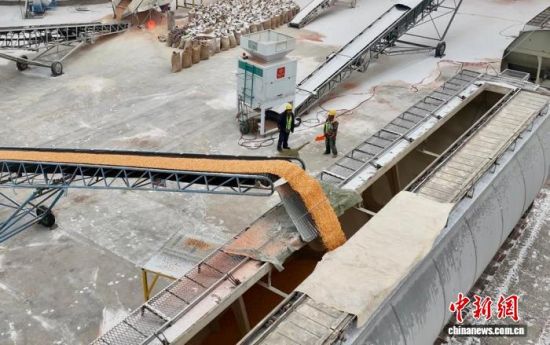 11��8�գ�ɢ�Z��������ԭ�Z�쌣�þ����b܇���I(y��)�������� �z