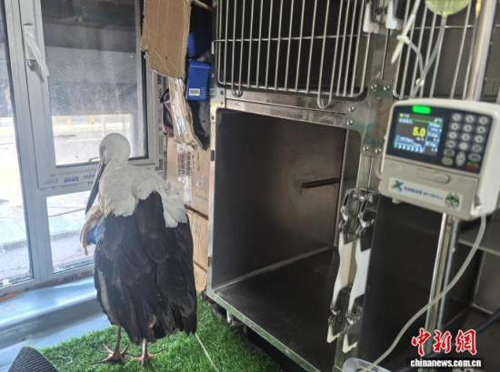 �܂��Ė|�����X���ڽ���ݔҺ�ί�����ʯ���� �z