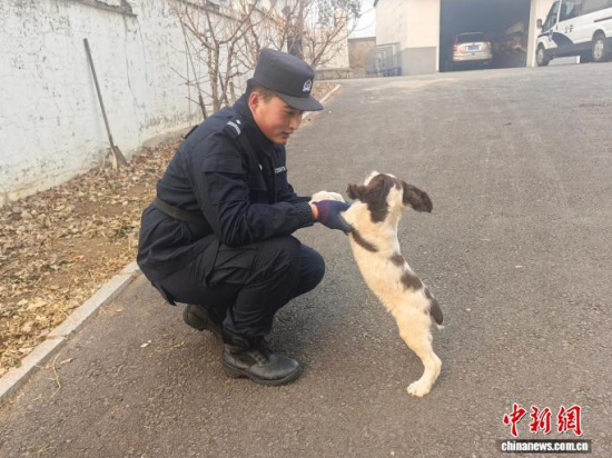 ���Ҳ������c�[�����B(y��ng)�H�ܶ�����ʯ���� �z