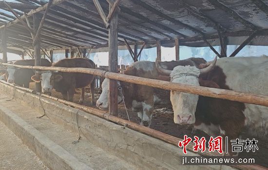 ���D�hί������/���D