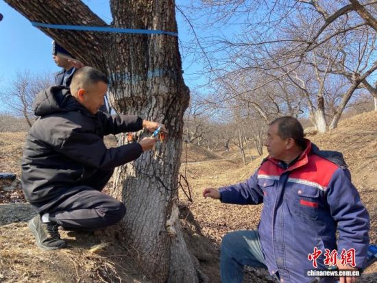 �����ˆT���ڌ���������������w�z�������� �z