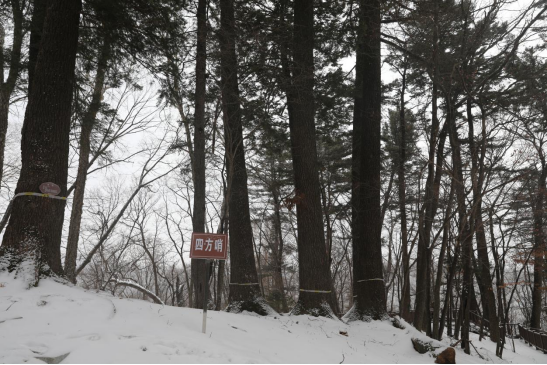 �ķ��������ڵ��� �������ý�w���Ĺ��D