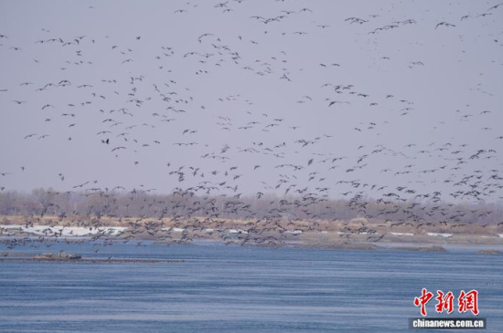 �B��^�������Ժӡ������� �z