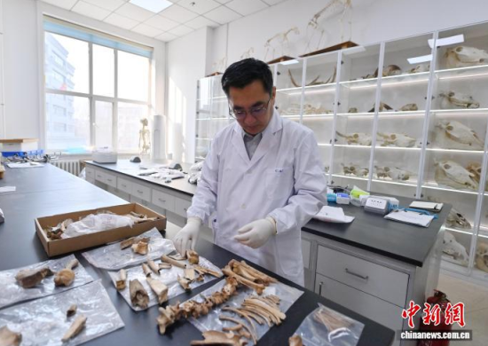 3��20���������L�����̴�������ӱ��������� �z