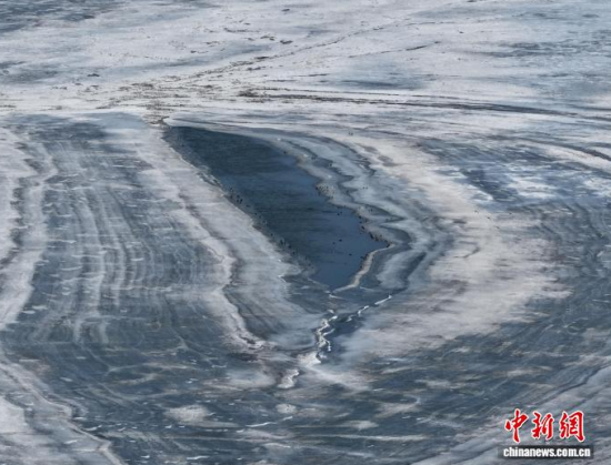 3��16�գ������(zh��n)�l�������������ڣ����BͣЪҒʳ���������� �z