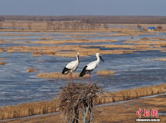 3��16�գ������(zh��n)�l��һ���|�����X��ĪĪ���صĳ����������������� �z