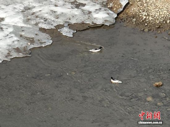 ���A��ɳ���ڼtʯ�օ^(q��)ˮ�������������L(zh��ng)��ɽɭ�����F(tu��n)�tʯ�֘I(y��)���޹�˾���D