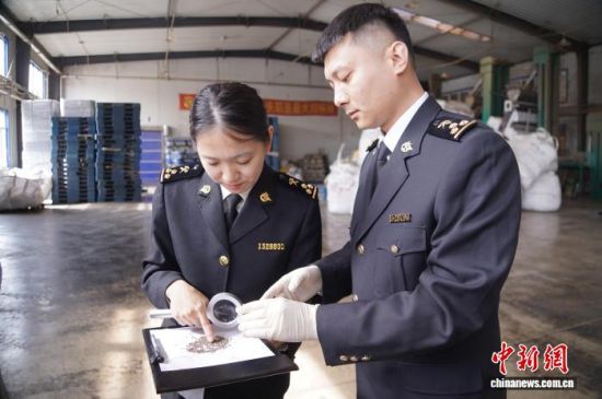 �L(zh��ng)��ɽ���P(gu��n)�P(gu��n)�T�_չ�����K�Ѳ��(y��n)���L(zh��ng)�����P(gu��n)���D